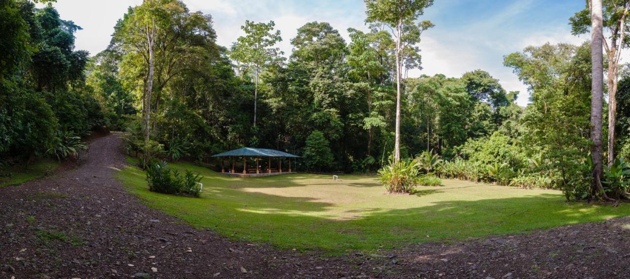 Casa Cedro - Portasol Vacation Rentals Matapalo  Bagian luar foto