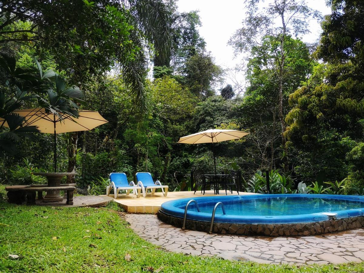 Casa Cedro - Portasol Vacation Rentals Matapalo  Bagian luar foto